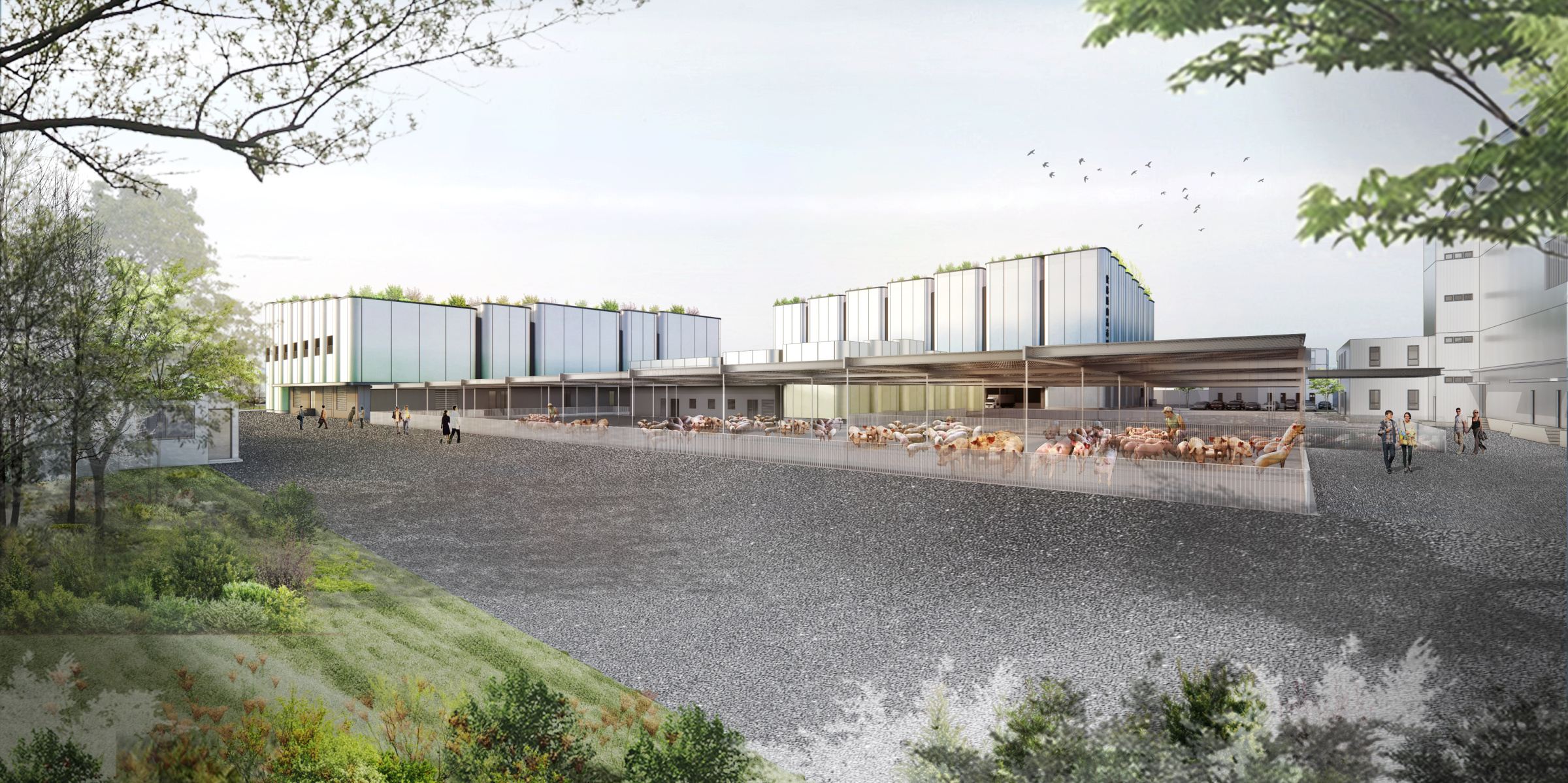 雲林縣肉品市場第二期廠區